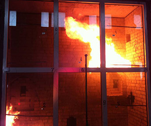 Противопожарные окна Климовск